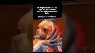 #trendingshorts #contentcreator #funny #relatable #edit #fyp #viralvideo #viralshorts