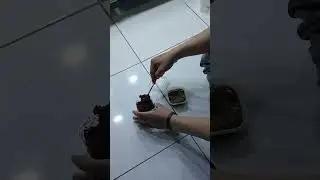 Cara tebar bibit grindal worm baru ‼️ monggo simakeun #grindalworm #cacinggrindal #pakanikanhias