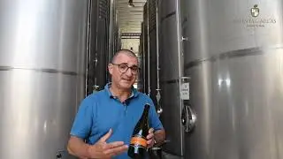 Pet-nat (QUINTA DAS ARCAS)