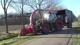 BOMEN ZAGEN MET STIHL FENDT 714 VARIO