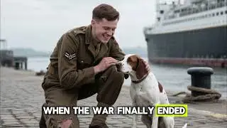 &ldquo;Judy &ndash; The Dog Who Became a Prisoner of War 🐾🇬🇧&rdquo; #fypシ #WWII #HeroDog #JudyTheDog #AnimalHeroes
