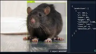 rat detection-for the hackthon