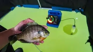 First Ice Bluegill Fishing | Early Ice Fishing 2018