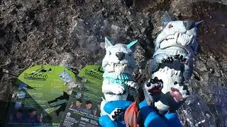 UNTAMED! Dire Wolf Insanity!  Blizzard + Midnight!