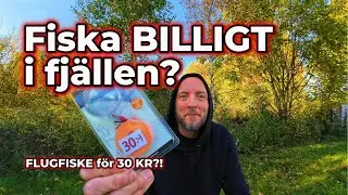 FISKE | Flugfiske i fj&auml;llen | Funkar Dollarstore-flugor f&ouml;r 30 kr?