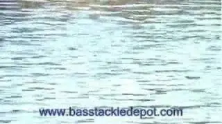 Bass fishing the Black Dog Shell Cracker