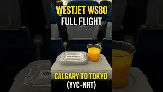 WestJet WS 80 YYC - NRT (полный рейс) - я заранее заказал кошерное питание