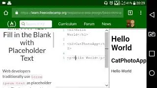 Basic HTML and HTML5 [part 4]: Fill in the Blank with Placeholder Text