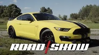 Mustang Shelby GT350R is a two-seat terror on the track