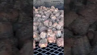 Tuesday Morning cook at Destination Smokehouse in Southern California #food #bbq #foodie #cooking