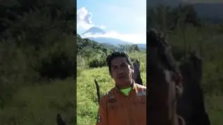Mexico's Fire Volcano #shorts #colimavolcano