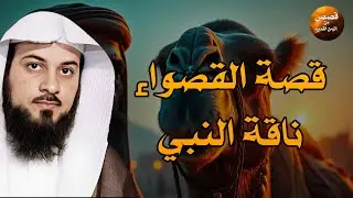 قصة القصواء 🐪 ناقة النبي ﷺ التي شهدت أعظم لحظات السيرة ✨ — الشيخ محمد العريفي
