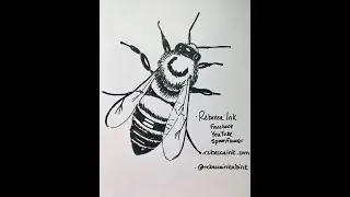 Time Lapse Drawing Tutorial of a Bee