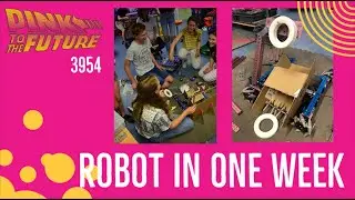 team 3954 Pink to the Future - robot in one week reveal - ultimate goal