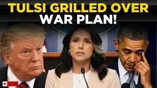 US Senate Hearing LIVE: EPIC SHOWDOWN in U.S. Senate &mdash; Gabbard Under Fire! | US News LIVE