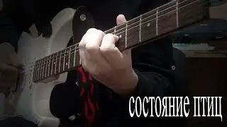 Состояние Птиц - XX (Guitar cover)