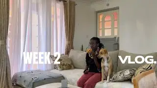 WEEK 2 VLOG;Back to work, thrift haul, Gifting, Cooking, Valentine's drop preparations