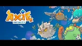 Top 1 Bird Plant Plant | Top 1 BPP | Season 20 | 3k MMR | Axie Infinity | Arena Guide
