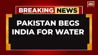 LIVE: Parched Pakistan Begs For Water To India | India's Water Strike on Pakistan Makes Them Beg