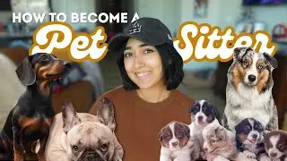 HOW PET SITTING BECAME MY MAIN JOB | How TO GET STARTED PET SITTING \\ My Best Tips + Tricks