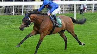 TRAWLERMAN outstays Lonsdale Cup rivals