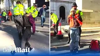 Just Stop Oil protesters at the Cenotaph as they are dragged away by police