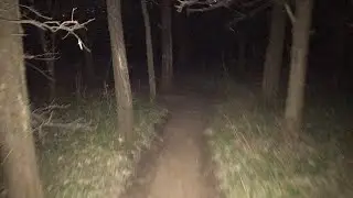 Going To The Parallel Forest🌳 Exploring Nature🏔
