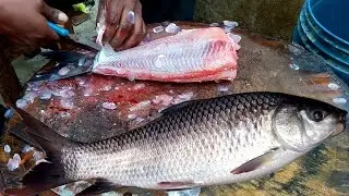 Catla Catla Live Fish Cutting | Catla Fish Skinless Cutting | How To Cutting Fish Skinless