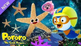 Pororo Bahasa Indonesia | Bintang Laut Kelap Kelip | Lagu Hewan Laut | Lagu Anak pendidikan