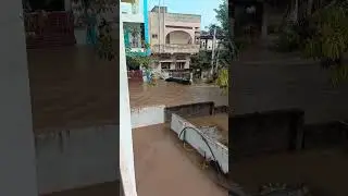 warangal Hanamkonda montha cyclone effect #viral #montha #cyclone #shorts #warangal #youtubeshorts