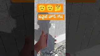 కువైట్ హౌస్ 🤔🙏#viral #vlog #funny #rjpt #kuwait house #birdtrend #SHORTS