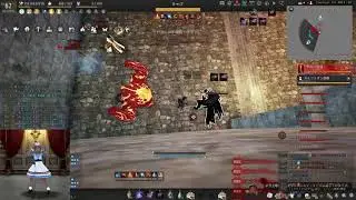 BDO Succession Woosa 10k damage reflection