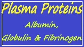 Plasma Proteins : Albumin, Globulin and Fibrinogen
