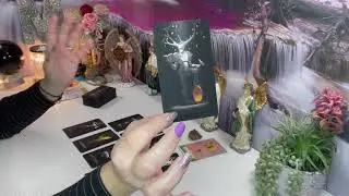 🌹HÁBLAME DESTINO!💫QUE TRAERÁS A MI VIDA?💌QUIEN LLEGARÁ A MI VIDA AMOROSA?💞COMO TERMINARE?☘️