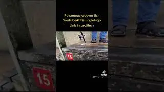 Warning fisherman about venomous weever fish