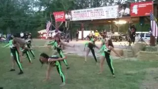 LCDC 2015(Lowndes County Dance Company) Field Show Introduction