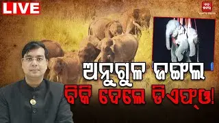 🔴LIVE || ଅନୁଗୁଳ ଜଙ୍ଗଲ ବିକି ଦେଲେ DFO! || BADA KHABAR TV