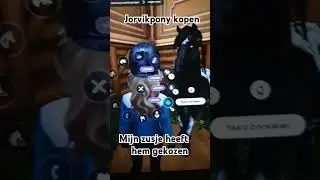 mijn zusje kiest mijn jorvikpony