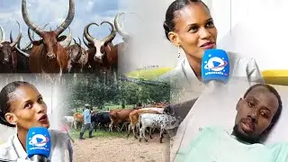 INDINKURU IBABAJE YUBUHEMU BUTANGAJE INKA// UMWANA// IFARANGA // BYOSE BIBURINGWA IRENGERO