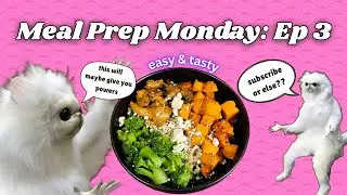 Meal Prepping for Accountability... and vibe check at the end 👀