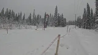 Kainuu Ski-O Week 2025 2nd stage