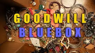 Snowy day Jewelry unboxing from BlueBox (Goodwill) FULL UNBOXING