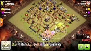 TH11 hogs