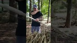 Ash self bow with primitive arrow
