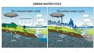 HE05 03   Environmental Issues