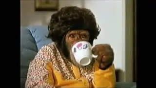 PG Tips Shirley's Tea Break #tvad #vintage #classic #funny @MadTvAds