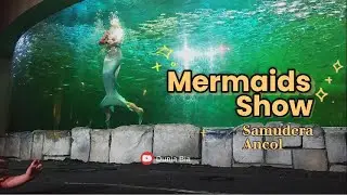 Mermaids Show Samudra Ancol #mermaids #mermaidshow #balerinashow #balerina #samudraancol
