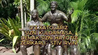 MEN ILONLARDAN QO'RQMAYMAN | STIV IRVIN | BIR INSON HIKOYASI.