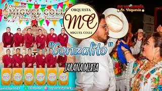 Jarana Gonzalito - Orquesta Miguel Colli