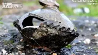 Jan  9, 2017 Lost Medieval Town Found By History Fan